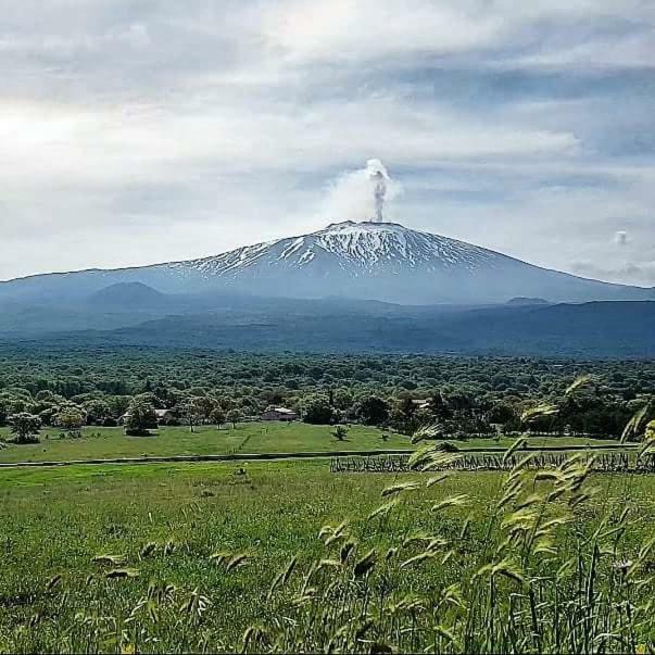 Vecchio Forno Villa Puntalazzo Buitenkant foto